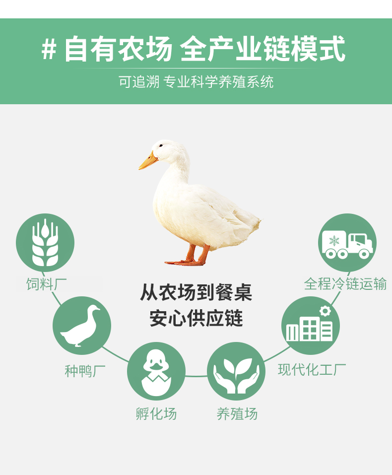 冷冻鸭-详情-04.jpg